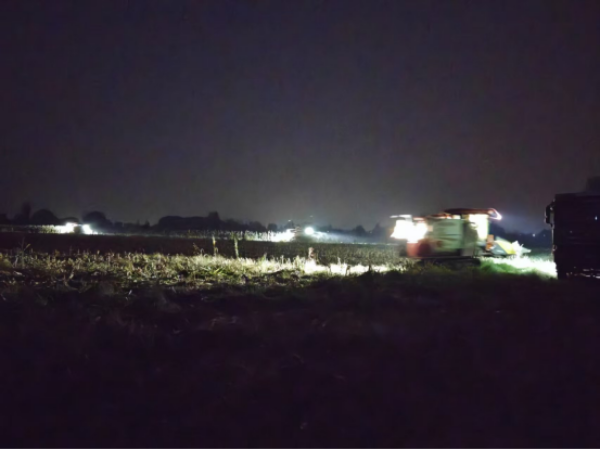 44b52165a1c844e9a258a782f3a4108a